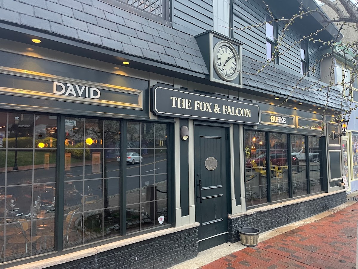 The Fox & Falcon By David Burke